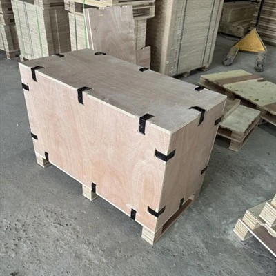 Preglejkové exportné boxy